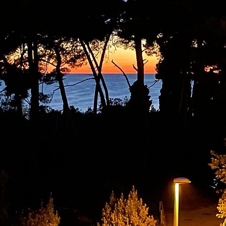 Robi Lägenhet Rovinj Exteriör bild