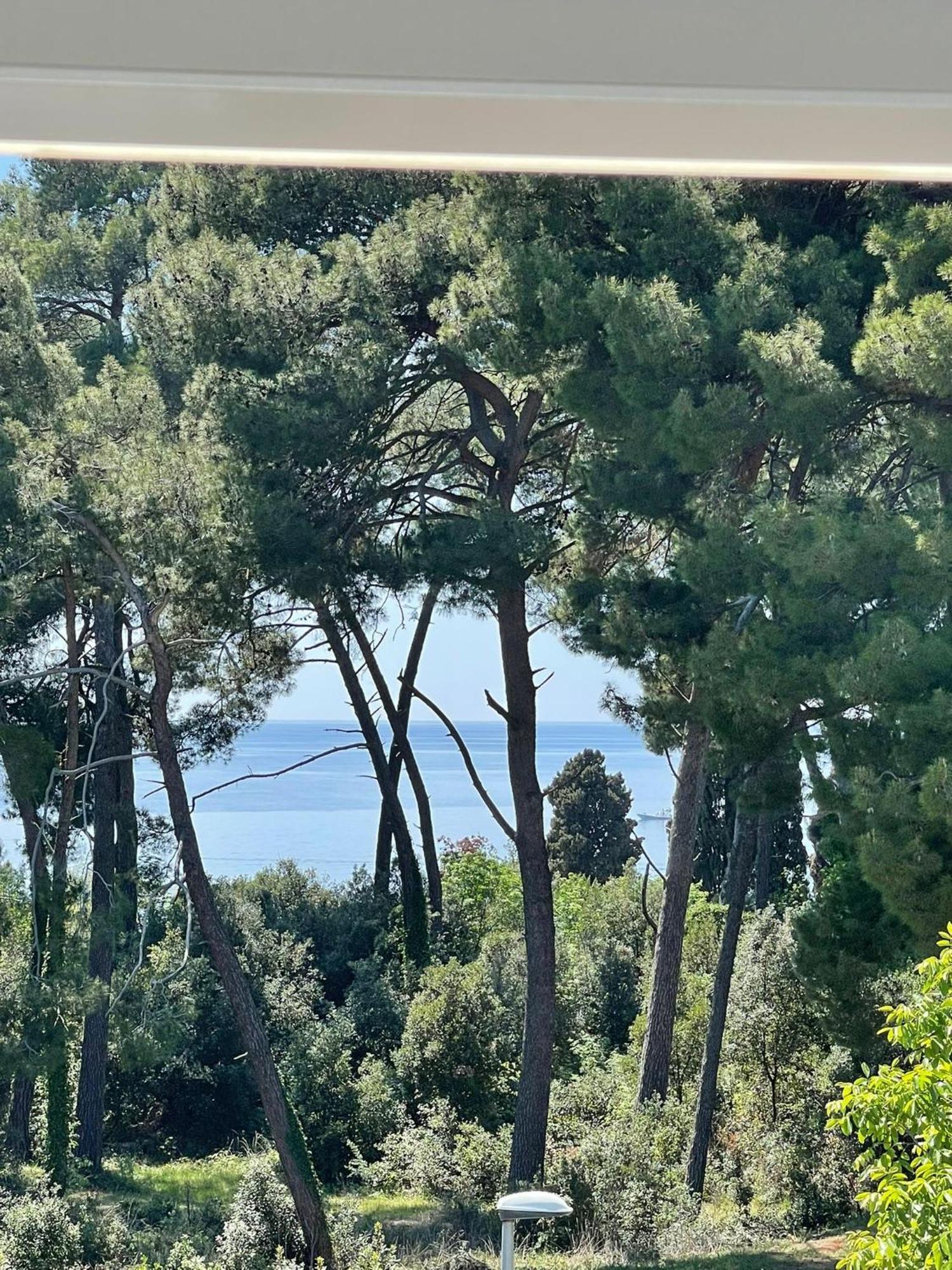 Robi Lägenhet Rovinj Exteriör bild